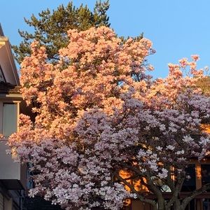 Meet your Posher, Jacquelyn